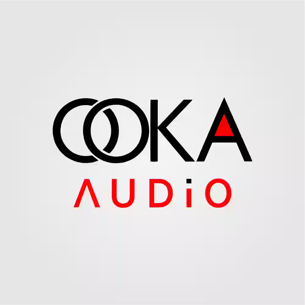 Best Bluetooth Ceiling Speakers in India by Ooka Audio