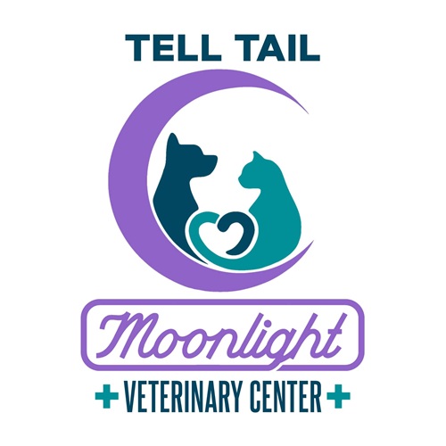 Fetch Specialty & Emergency Veterinary Centers - Greenville, SC