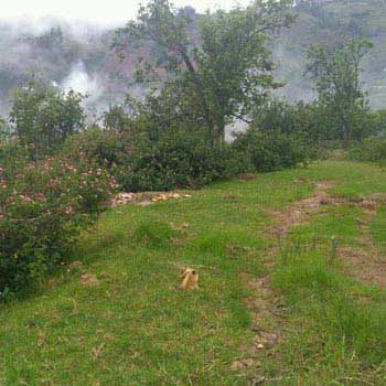 DTCP approved Residential Plots for sale at Kodaikanal