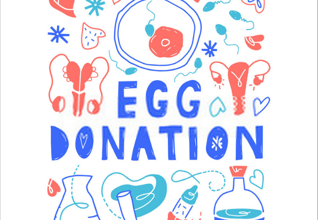 Egg donation