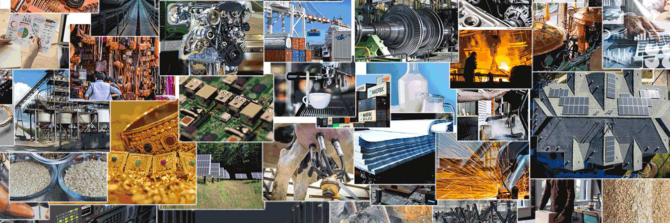 Business setup consultants in India