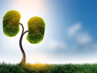 9801040490Best nephrologist in patna | Best nephrology in patnaDr. Vinod Kumar Singh ( EX. Prof. & Head nephrology PMCH ) | Splendid Kidney Hospital & Research Centre