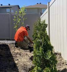 Transform Your Outdoor Space: Ottawa Hard Landscaping Services
