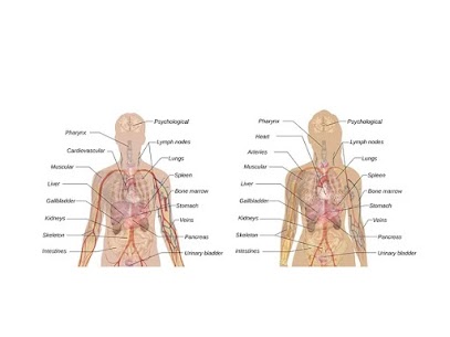 9801040490Best nephrologist in patna | Best nephrology in patnaDr. Vinod Kumar Singh ( EX. Prof. & Head nephrology PMCH ) | Splendid Kidney Hospital & Research Centre