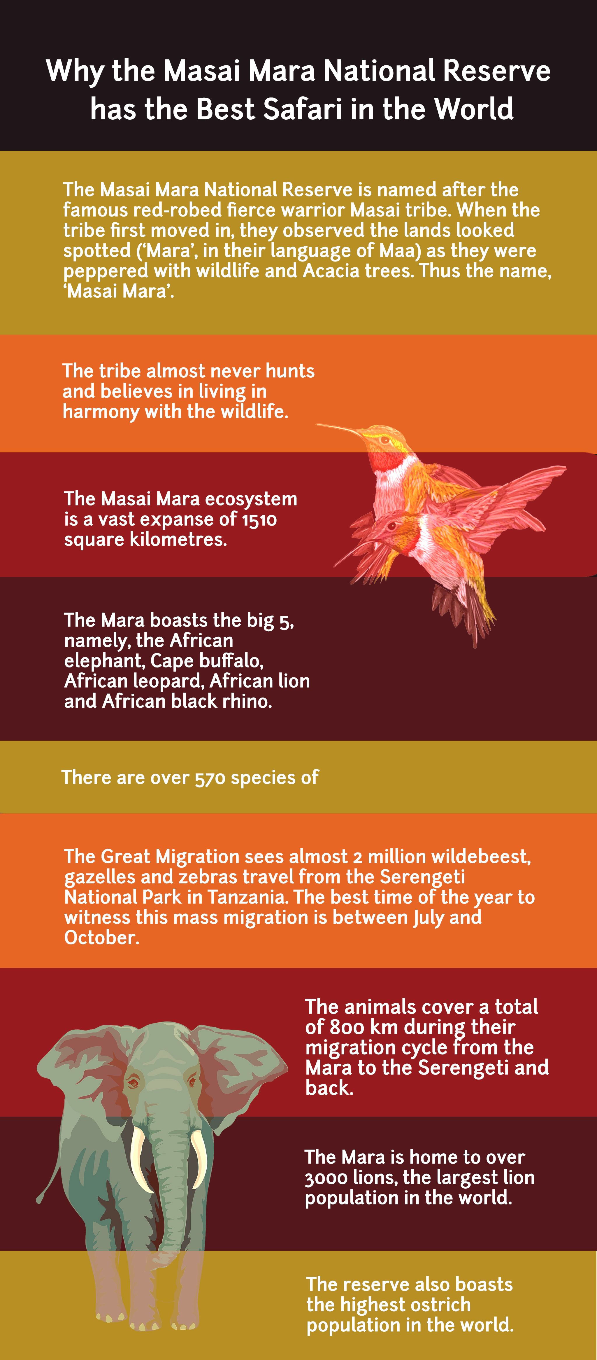 Best Masai Mara Tour Packages in 2019