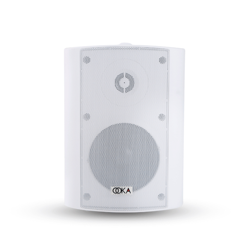 Best Wall Mount Speaker for Home by Ooka Audio