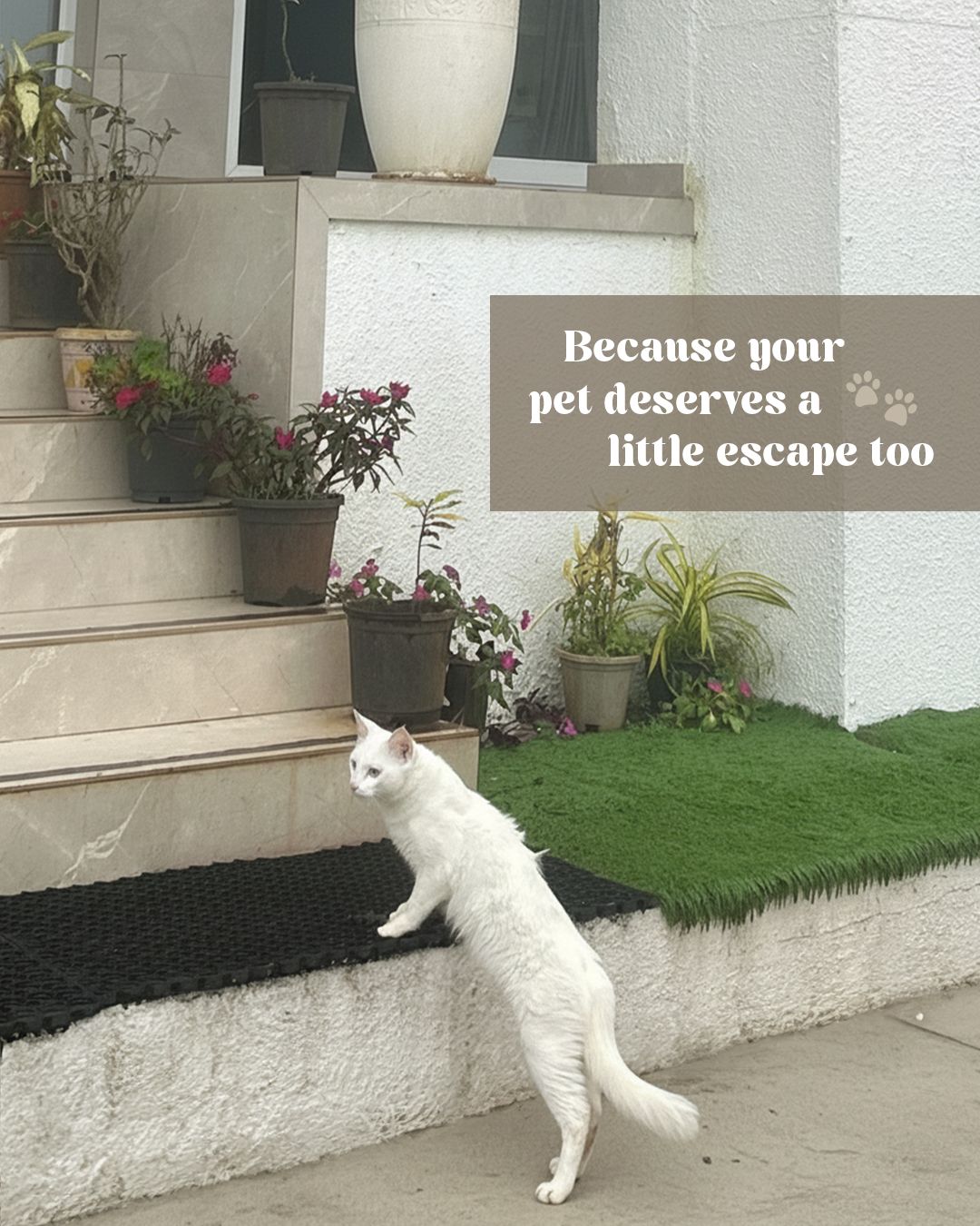 Pet-Friendly 4 BHK Villa with Pool & Scenic Views | Ekayan Villa Panchgani