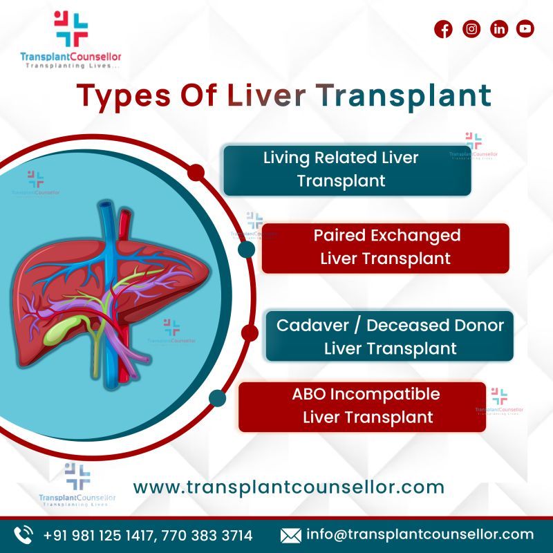 Organ Transplants Made Hassle-Free- Transplant Counsellor Shows The Way