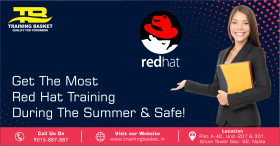 Training Basket Institute in Noida