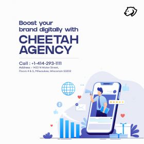 Cheetah - Milwaukee Digital Marketing Agency