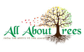 All About Trees LLC