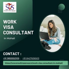 Work Visa Consultant in Mohali | Trusted Services - SVS Consulting Group