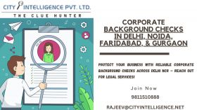 Corporate Investigation